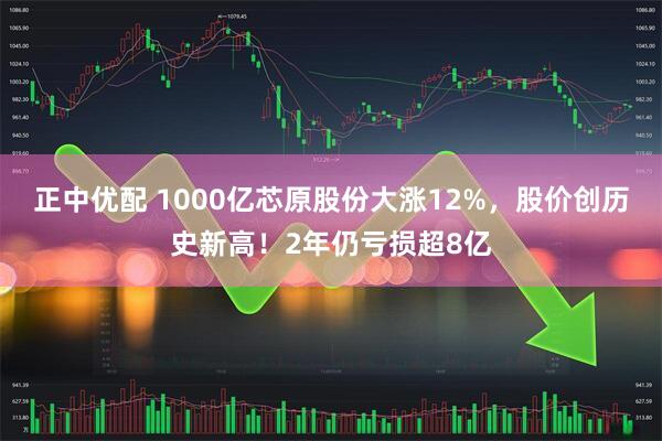 正中优配 1000亿芯原股份大涨12%，股价创历史新高！2年仍亏损超8亿
