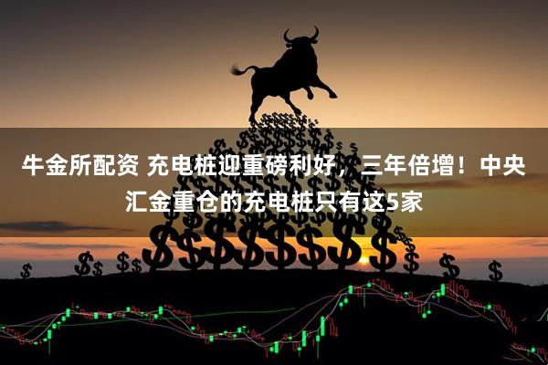 牛金所配资 充电桩迎重磅利好，三年倍增！中央汇金重仓的充电桩只有这5家