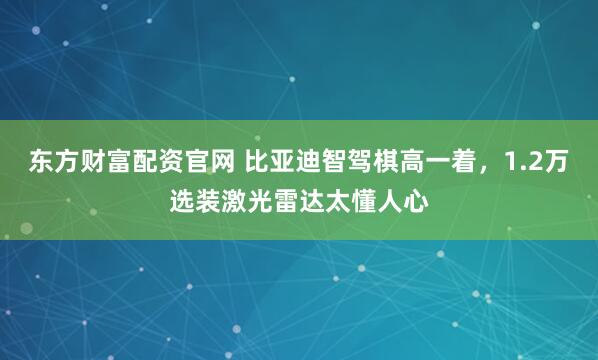 东方财富配资官网 比亚迪智驾棋高一着，1.2万选装激光雷达太懂人心